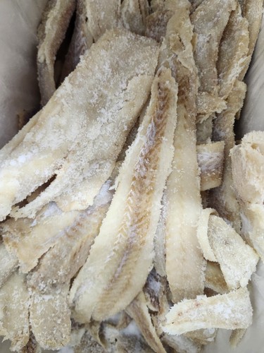Salted fish 1lb 40lb buy - salted, 40lb/