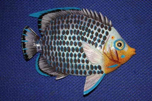 Inch tropical fish wall - inch, fish,wall