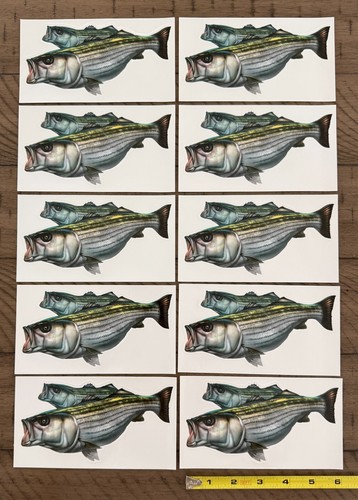 Striped bass striper - 6",